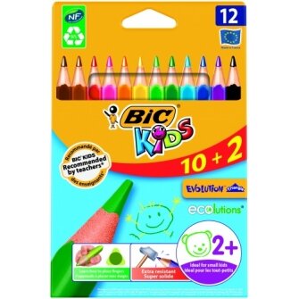 Bic Spalvoti pieštukai Evolution Triangle 12 spalvų rinkinys 8871462