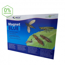Tripsų. daiginių uodelių gaudyklė Magnet Blue 20X25 cm.